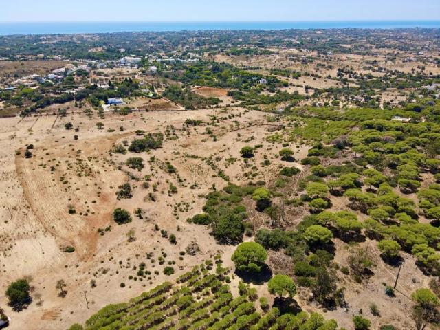 Lagoa Algarve 63073822