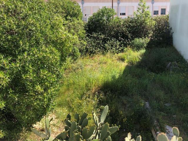 Lagoa Algarve 92239909