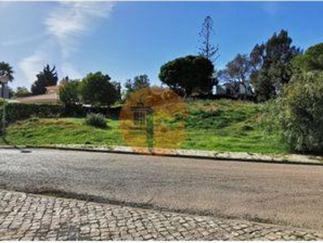 Lagoa Faro LS96319606