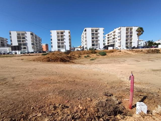 Lagoa Faro 104793510