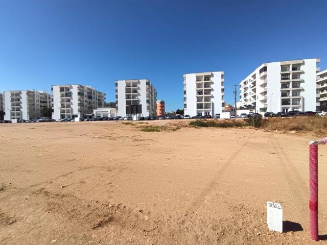Lagoa Faro 104793511