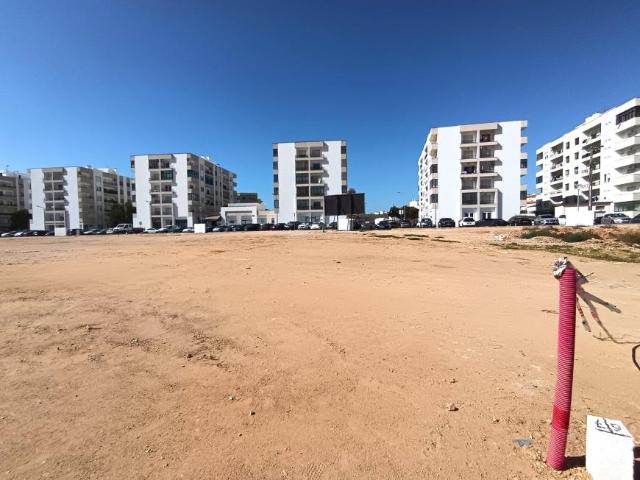 Lagoa Faro 104793512