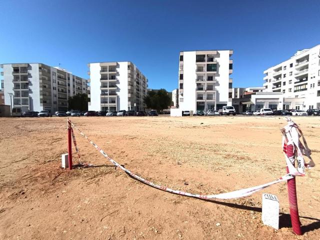 Lagoa Faro 104793517