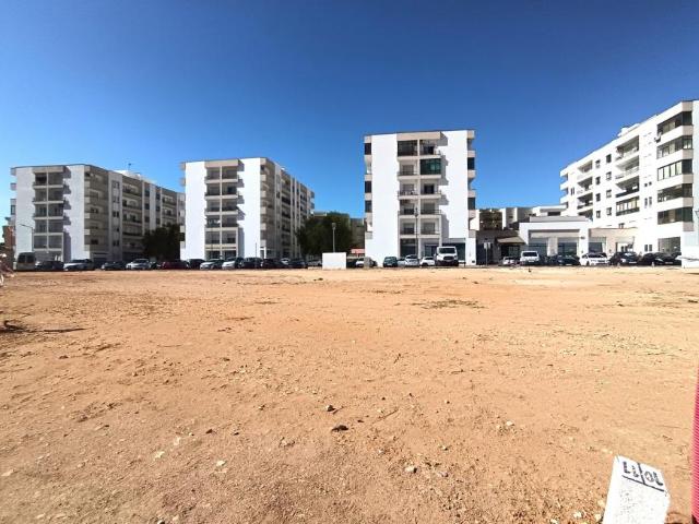 Lagoa Faro 104793516