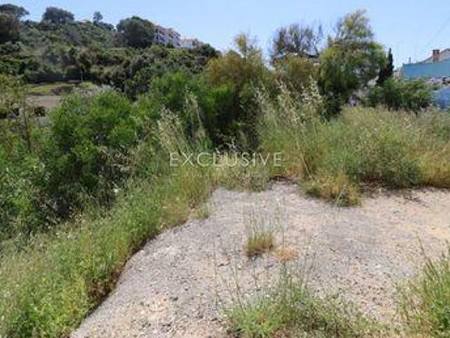 Lagoa Faro 90182457