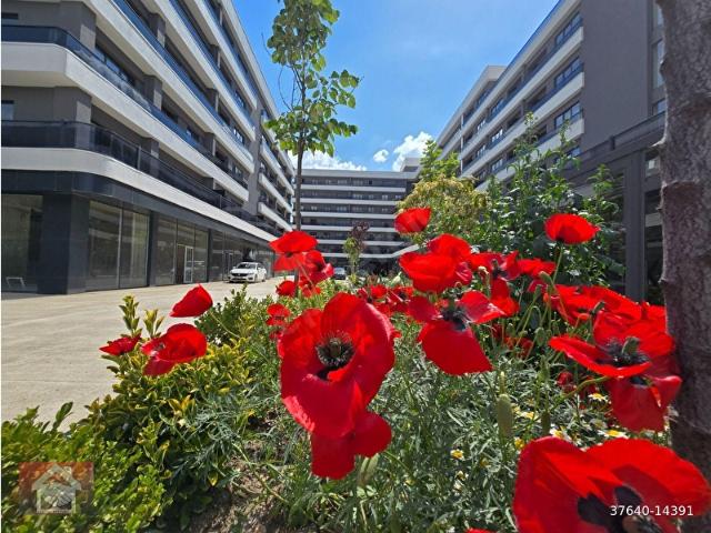 LAGOM DA KİRALIK BULVAR VE AVM CEPHELİ 1+1 KATTA DAİRE
