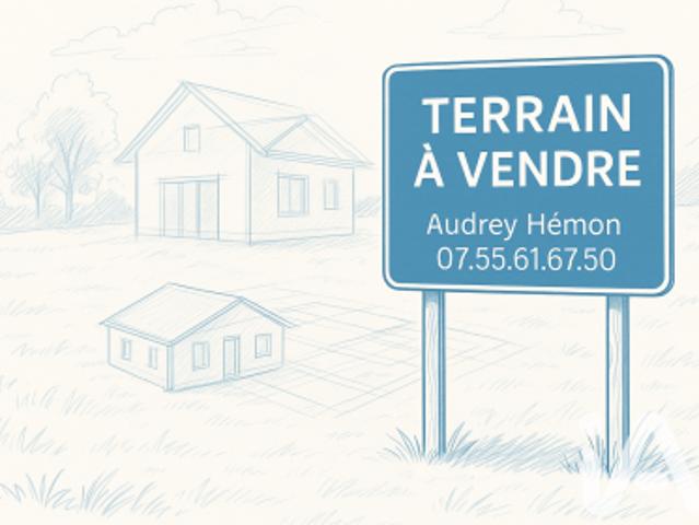 Lagos Vente Terrain 64