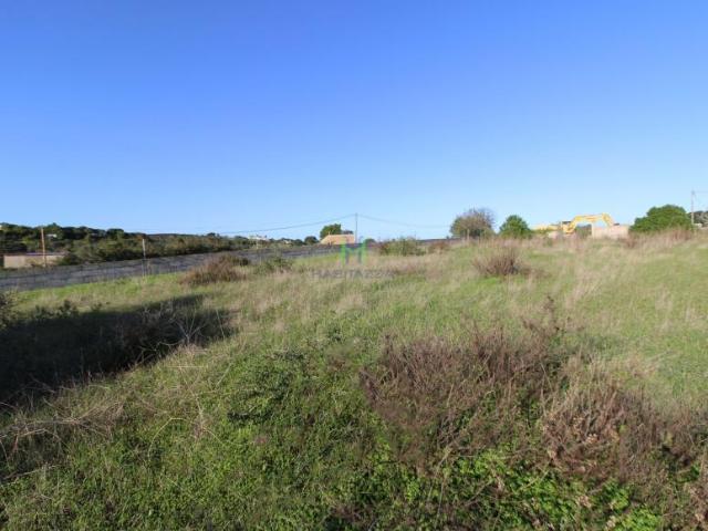 Lagos Algarve LS58441300