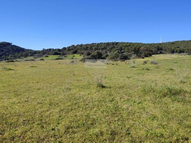 Lagos Algarve LS60877320