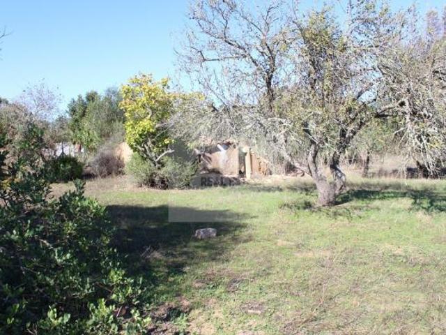 Lagos Algarve LS61527392