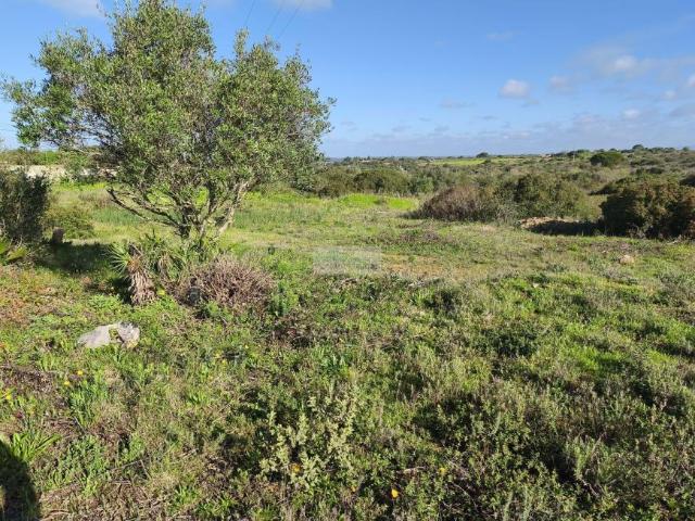 Lagos Algarve LS98633101