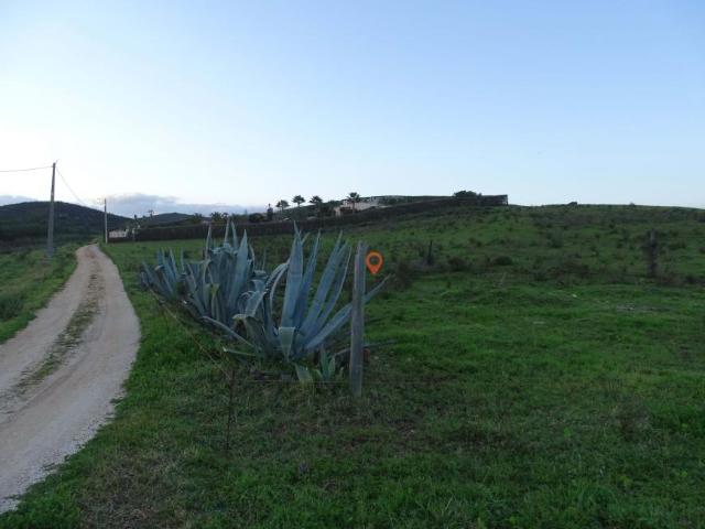 Lagos Algarve LS99723303