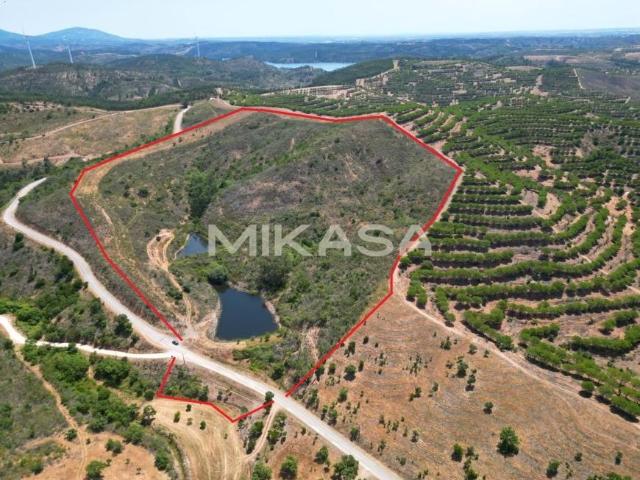 Lagos Algarve 103396962