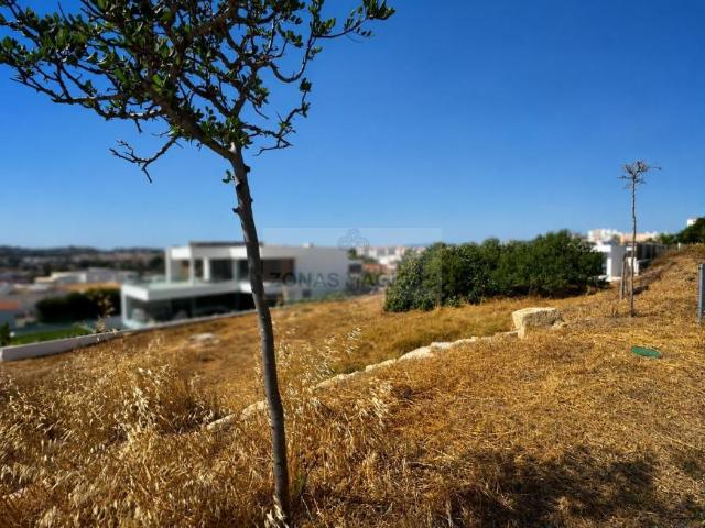 Lagos Algarve 103880146