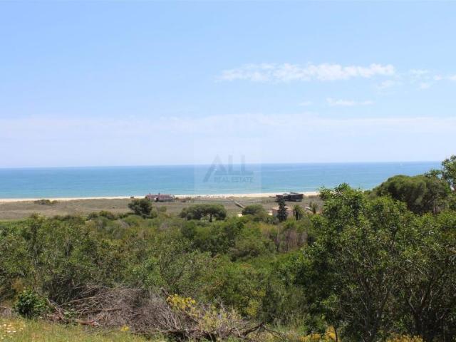 Lagos Algarve 61527326