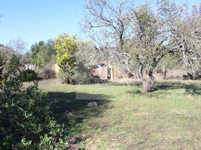 Lagos Algarve 61527392