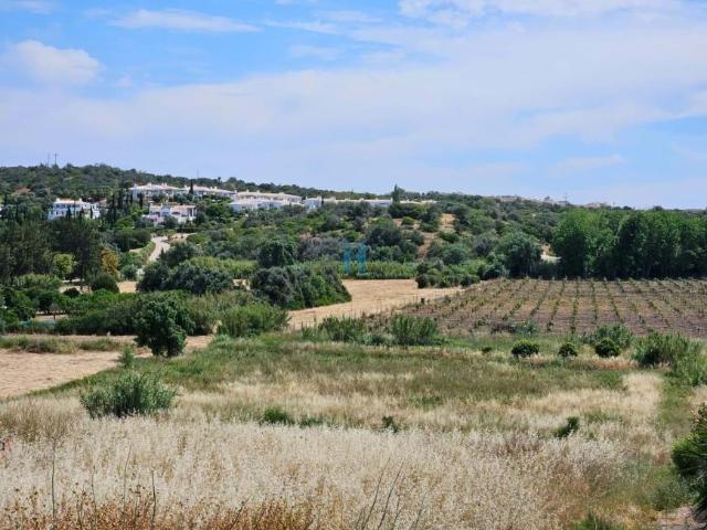 Lagos Algarve 77336545