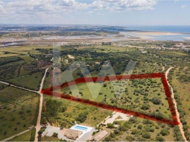 Lagos Algarve 79782332