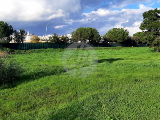 Lagos Algarve 87735078