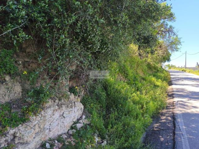 Lagos Algarve 96931355