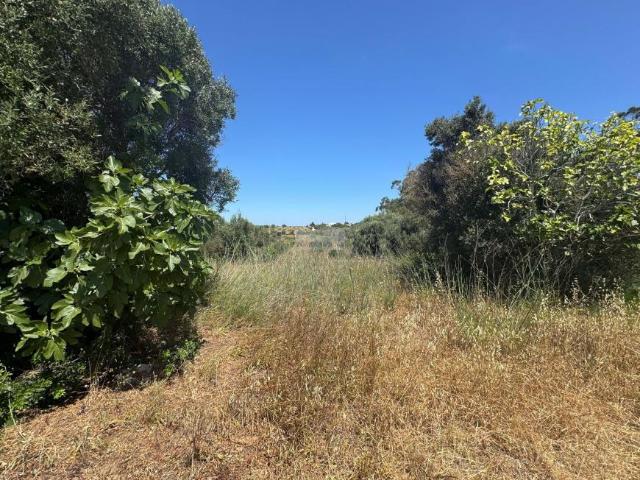 Lagos Algarve 96931388