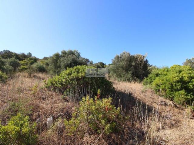 Lagos Algarve 96931409
