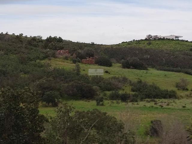 Lagos Algarve 99722899