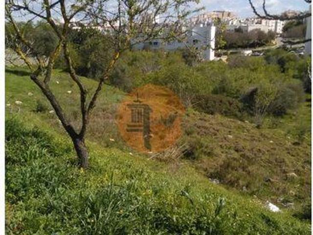 Lagos Faro LS96319498