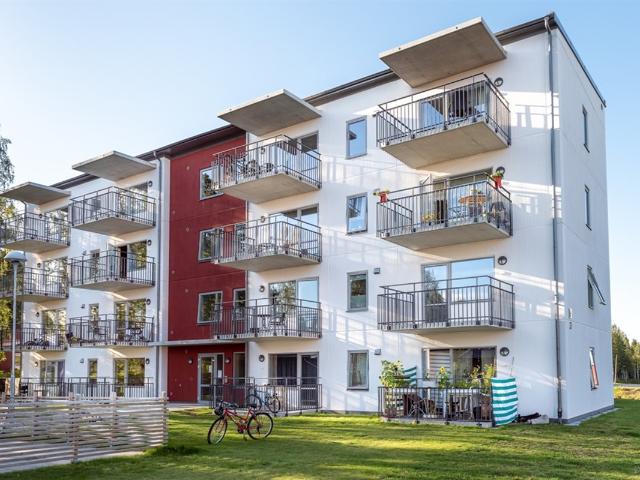 lägret, vännäs, västerbotten