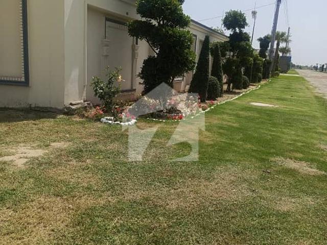 Lahore Organic Farm