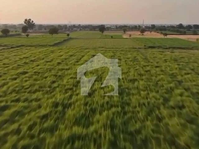 Lahore Organic Farms Society Located on Main Barki Road, Lahore