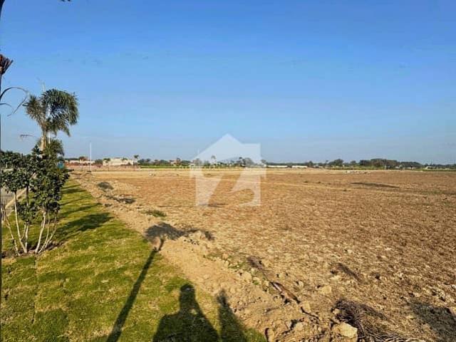 Lahore Organic Farms Society Located on Main Barki Road, Lahore