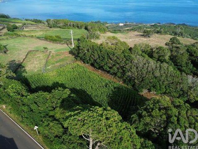 Lajes Do Pico Ilha Do Pico 98686058