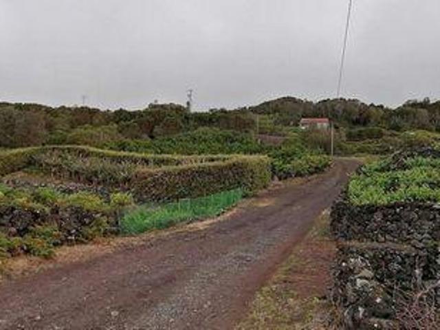 Lajes Do Pico Ilha Do Pico 102889152
