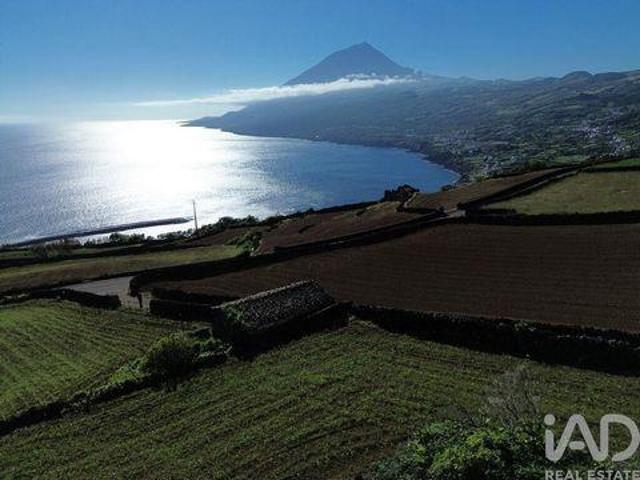 Lajes Do Pico Ilha Do Pico 104111322