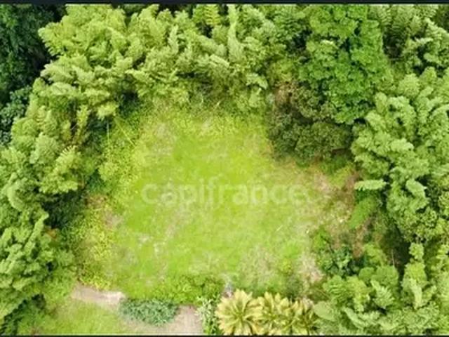 L'Ajoupa Bouillon 97216 Achat / Vente terrain