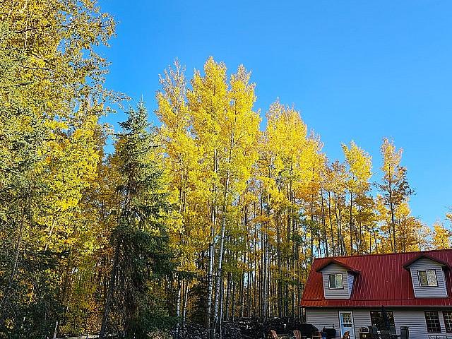 Lake Cabin, With Heated Garage, Shed, And Much More