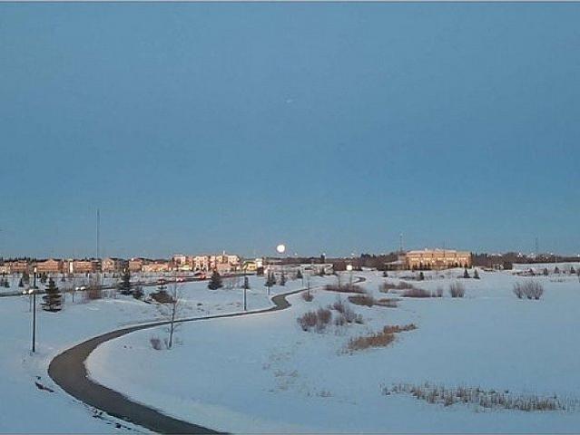 Lake Facing 2 Bedroom Walkout Basement Rent$1800 Utilites Shared