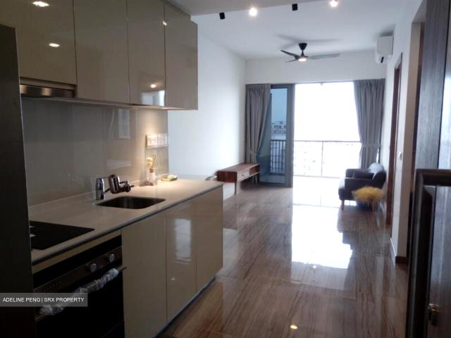Lakeville D22, Condominium