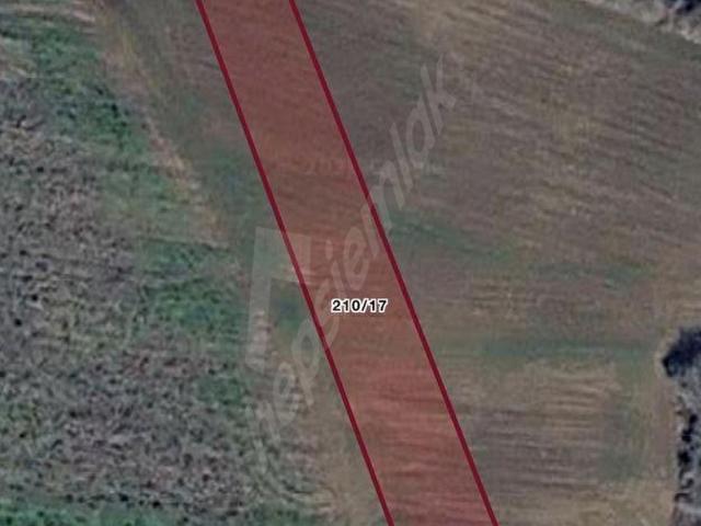 LALAPAŞA HACIDANİŞMENT SATILIK TARLALAR