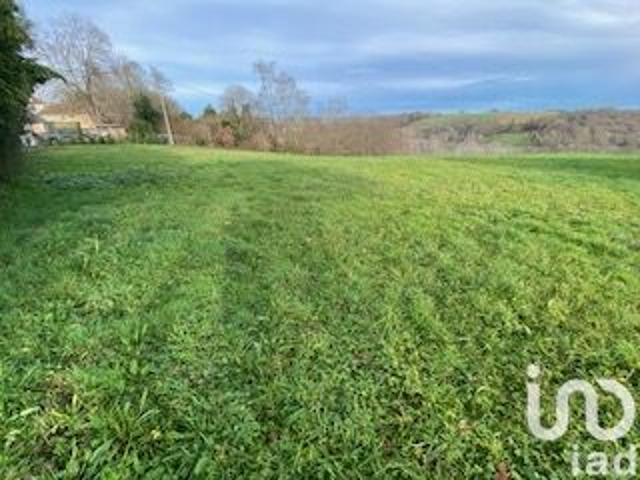 Lalongue Vente Terrain 64