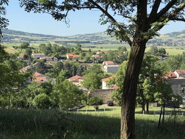 Laps Vente Terrain 63