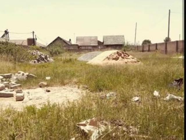 large vacant stand on the market in.