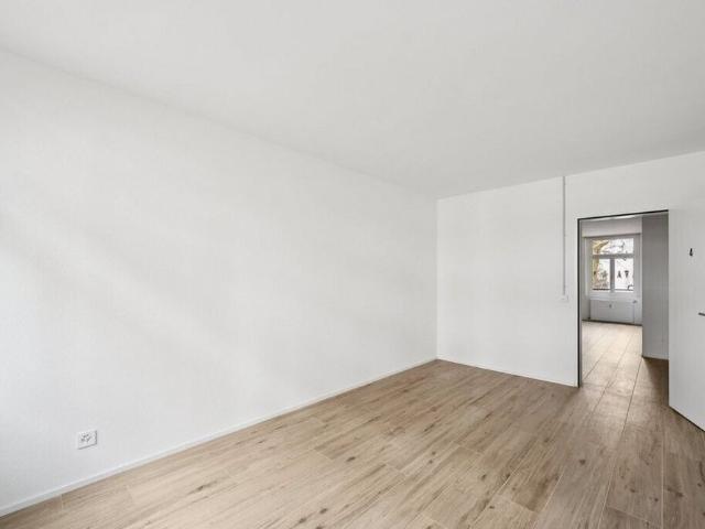 Large and modern apartment in a popular location