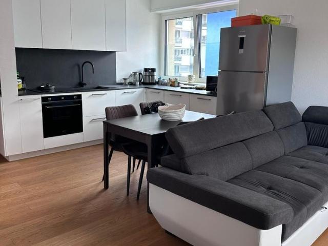 LARGE AND MODERN 2.5 ROOM APARTMENT IN THE CENTER WITH AIR CONDITIONING
