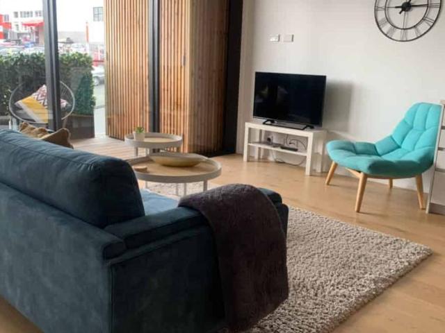 Large Furnished Apartment Short Term to Nov 2025