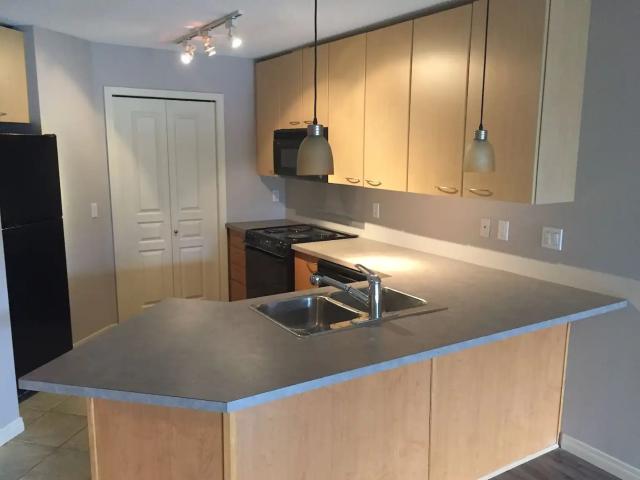 Large one bedroom plus den condo in Lincoln Park
