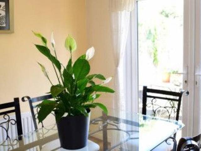 Large room with built in wardrobe in 3 bedroom apartment in Tallaght