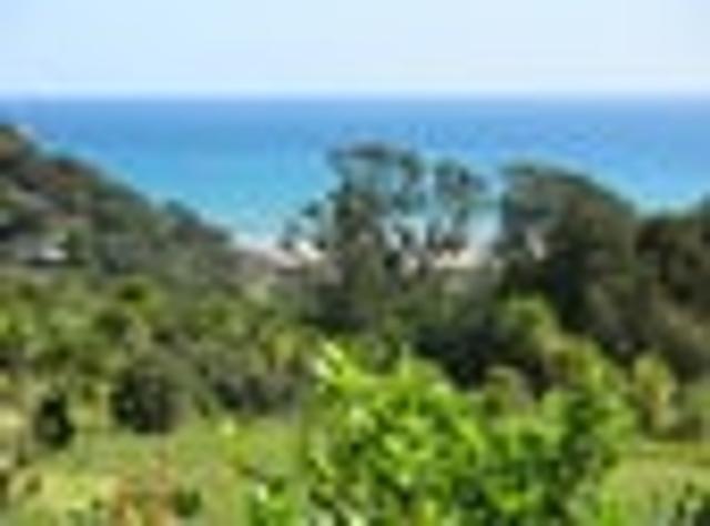 Large Section, Big Views, Great Location
