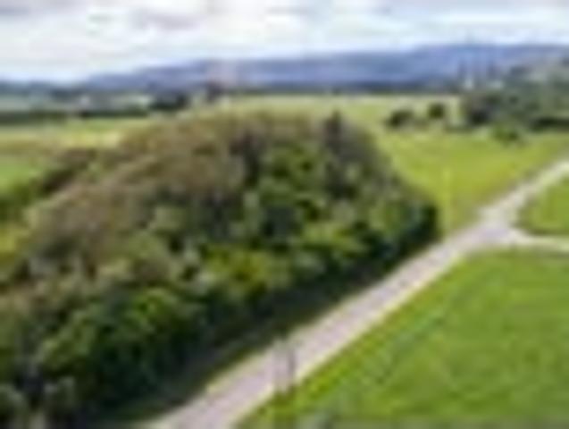 Larger Bareland Lifestyle with Great Soils 9.8ha